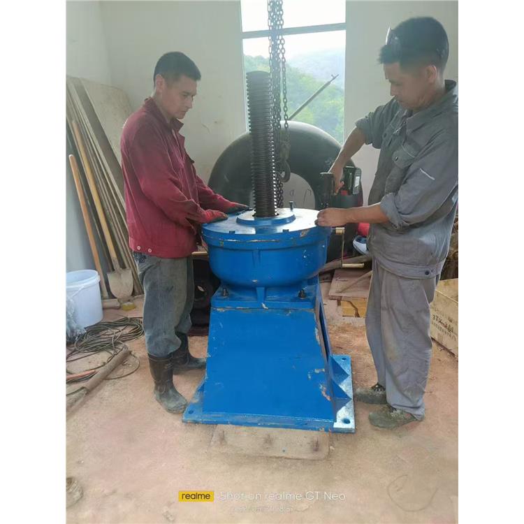 支持定制 水电启闭机 零售