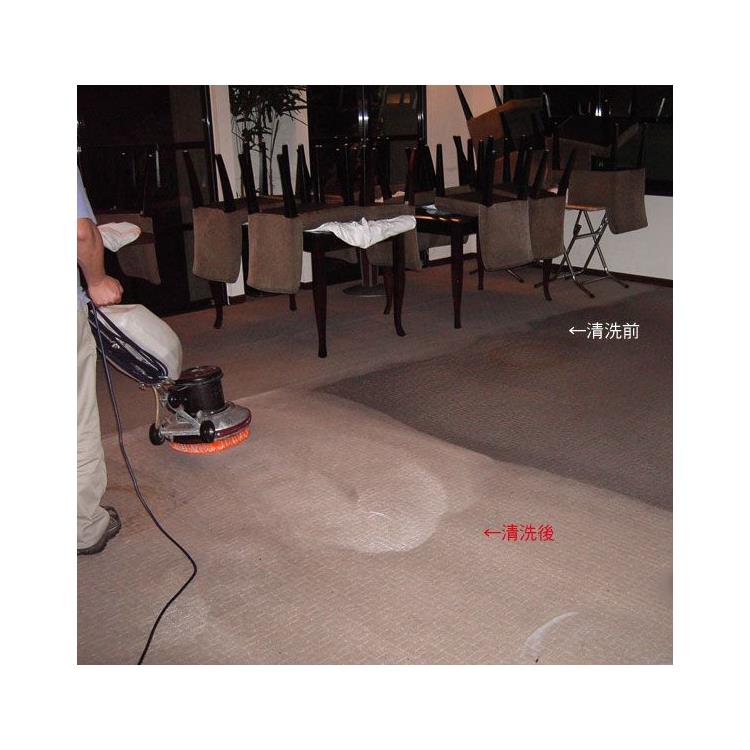 惠阳单位地毯清洗 上门服务