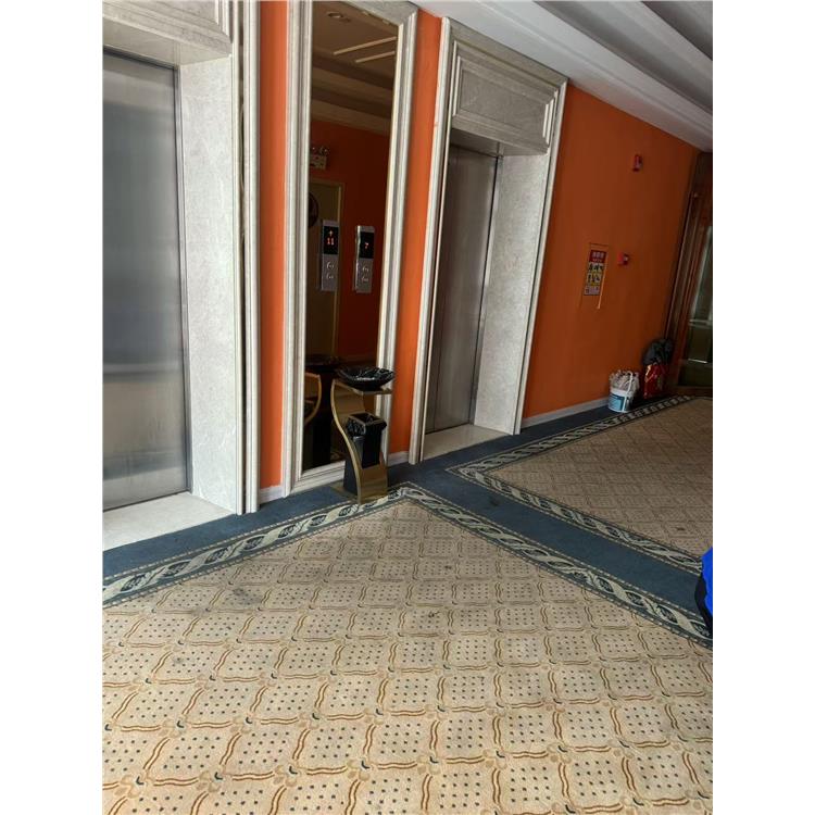 惠东清洗地毯 去渍 家用地毯清洗