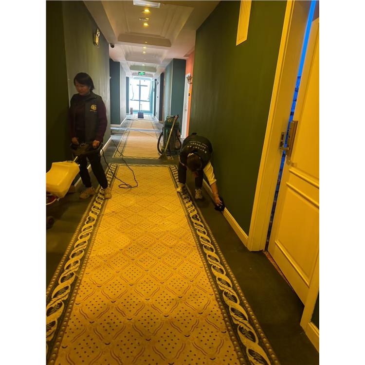 公司地毯清洗 杀菌 淡水单位地毯清洗