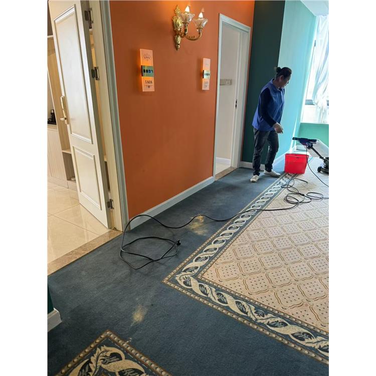 惠州酒店地毯清洗 标准化服务 清洗地毯