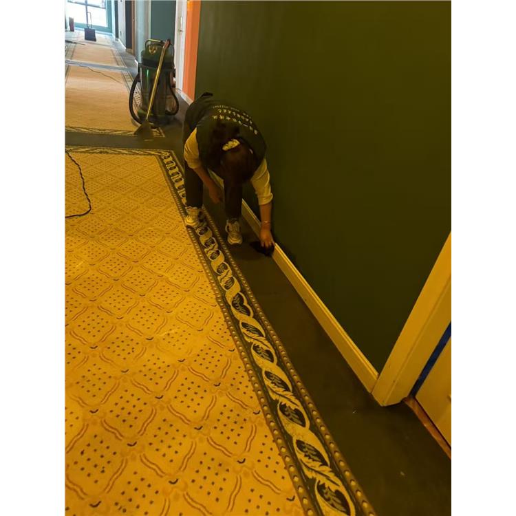 公司地毯清洗 惠阳办公室地毯清洗