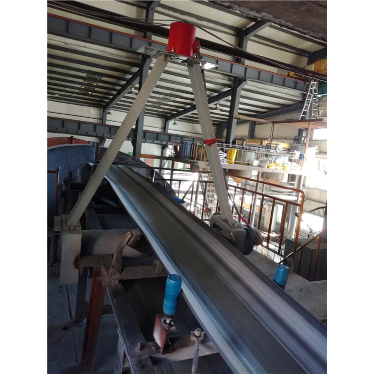 江苏核子皮带秤变频柜 饲料加工皮带输送核子秤