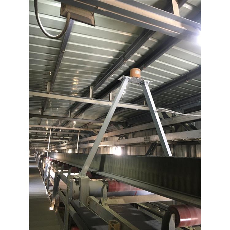 临朐抗干扰性强复合肥核子皮带秤 批发报价