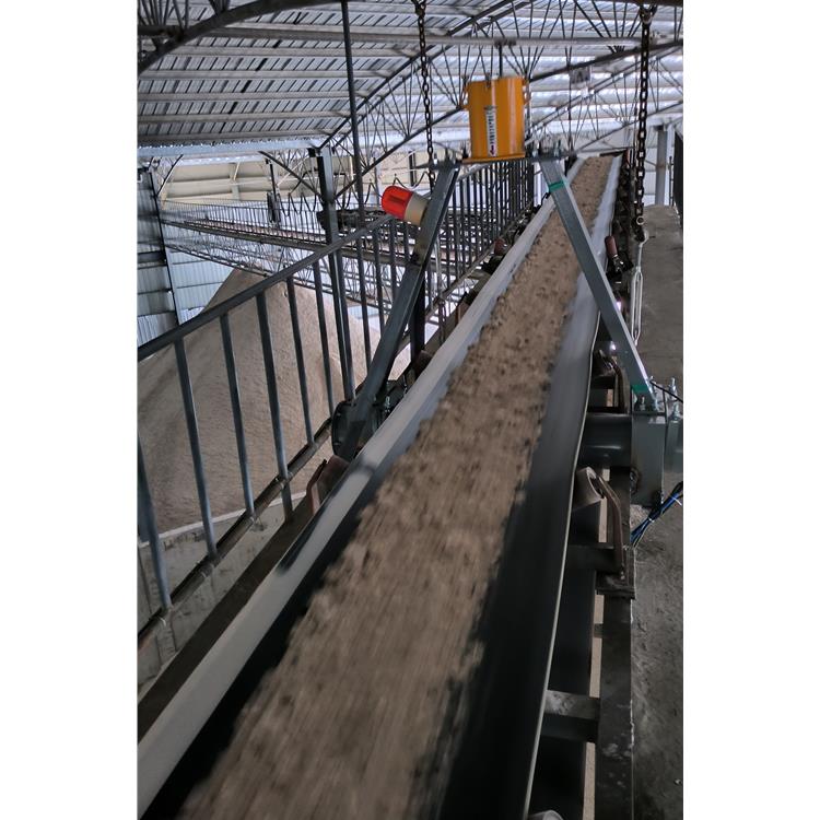 丹东抗干扰性强核子皮带秤仪表 操作简便水泥核子皮带秤 如何选型