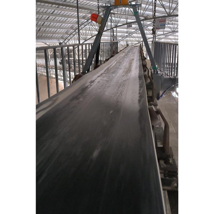 山东复合肥厂皮带输送核子秤 不锈钢核子秤