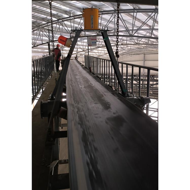 鞍山港口用高精度核子皮带秤 矿用不锈钢核子秤 如何选型