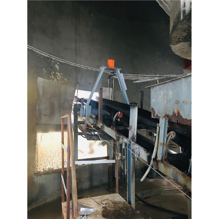 大连电离室皮带秤工业核子皮带秤 北京核子皮带秤 厂家