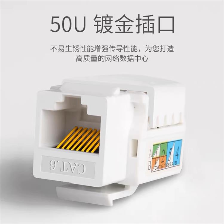 超五类网络模块 定制 坚固耐用