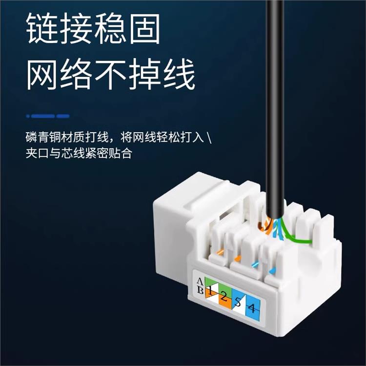 CAT3网络模块 支持千兆百兆 生产基地