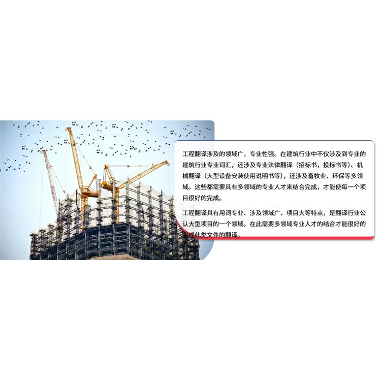 报关报检单据翻译 生物食品技术翻译 办公软件翻译