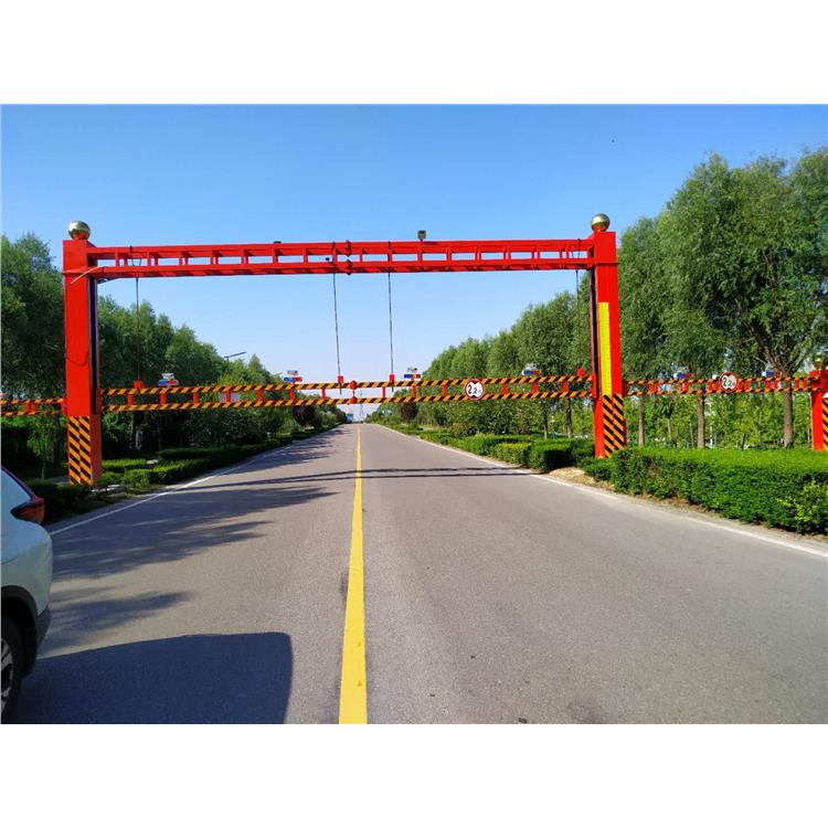 乡村振兴分体监控杆 避雷