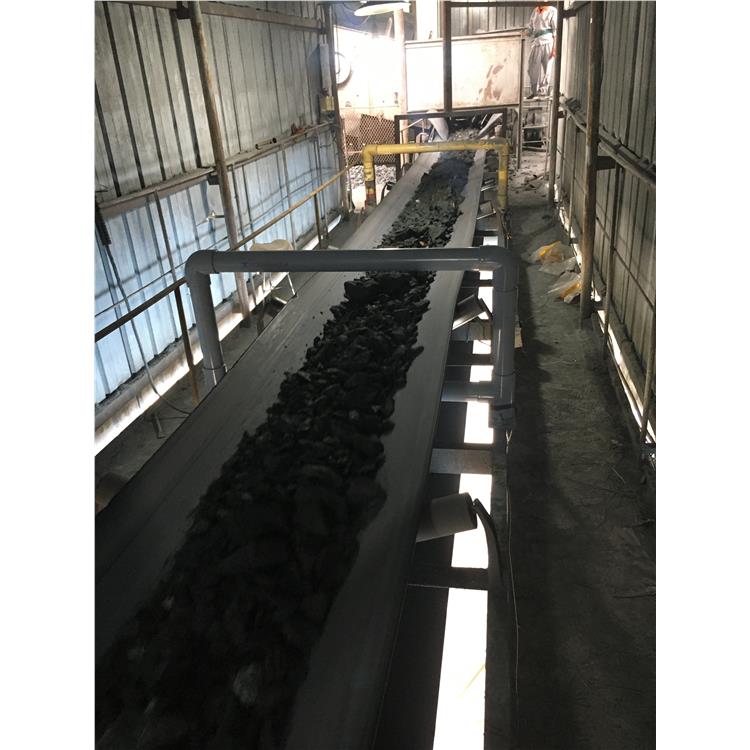 山东配煤车间金属探测器 动态金属探测仪