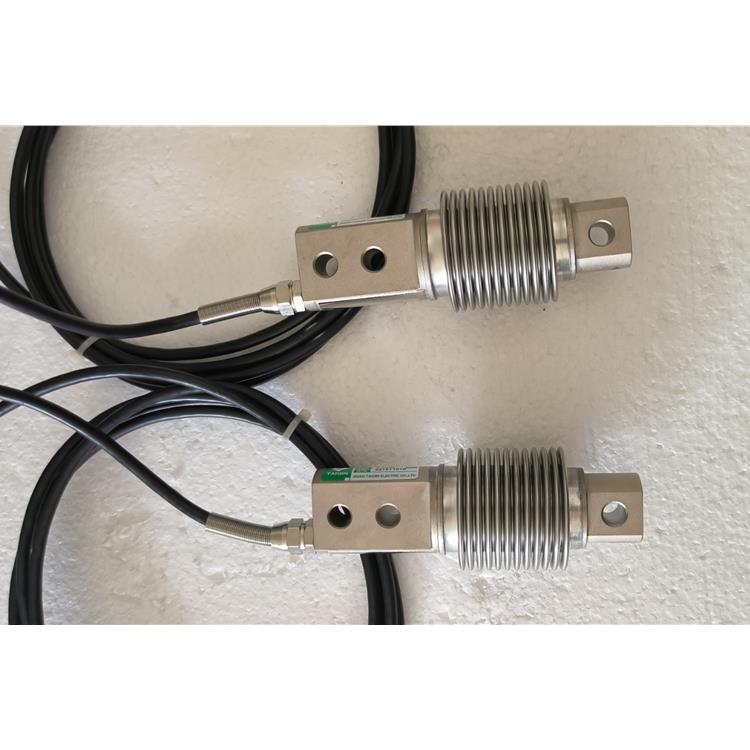 江苏皮带秤称重仪表 供应商